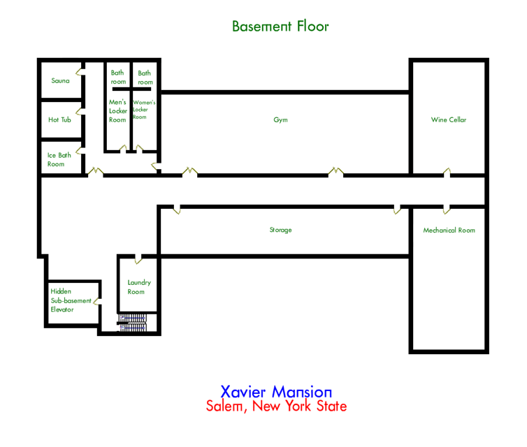 XMansion_Basement_FloorResize.png